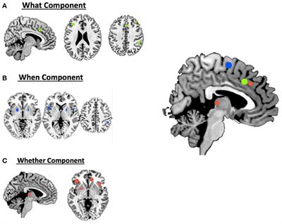 The What, the When, and the Whether of Intentional Action in the Brain: A Meta-Analytical Review